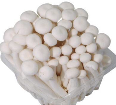 白玉菇100g - Sense Foods