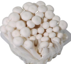 白玉菇100g - Sense Foods