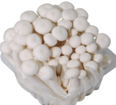 白玉菇100g - Sense Foods