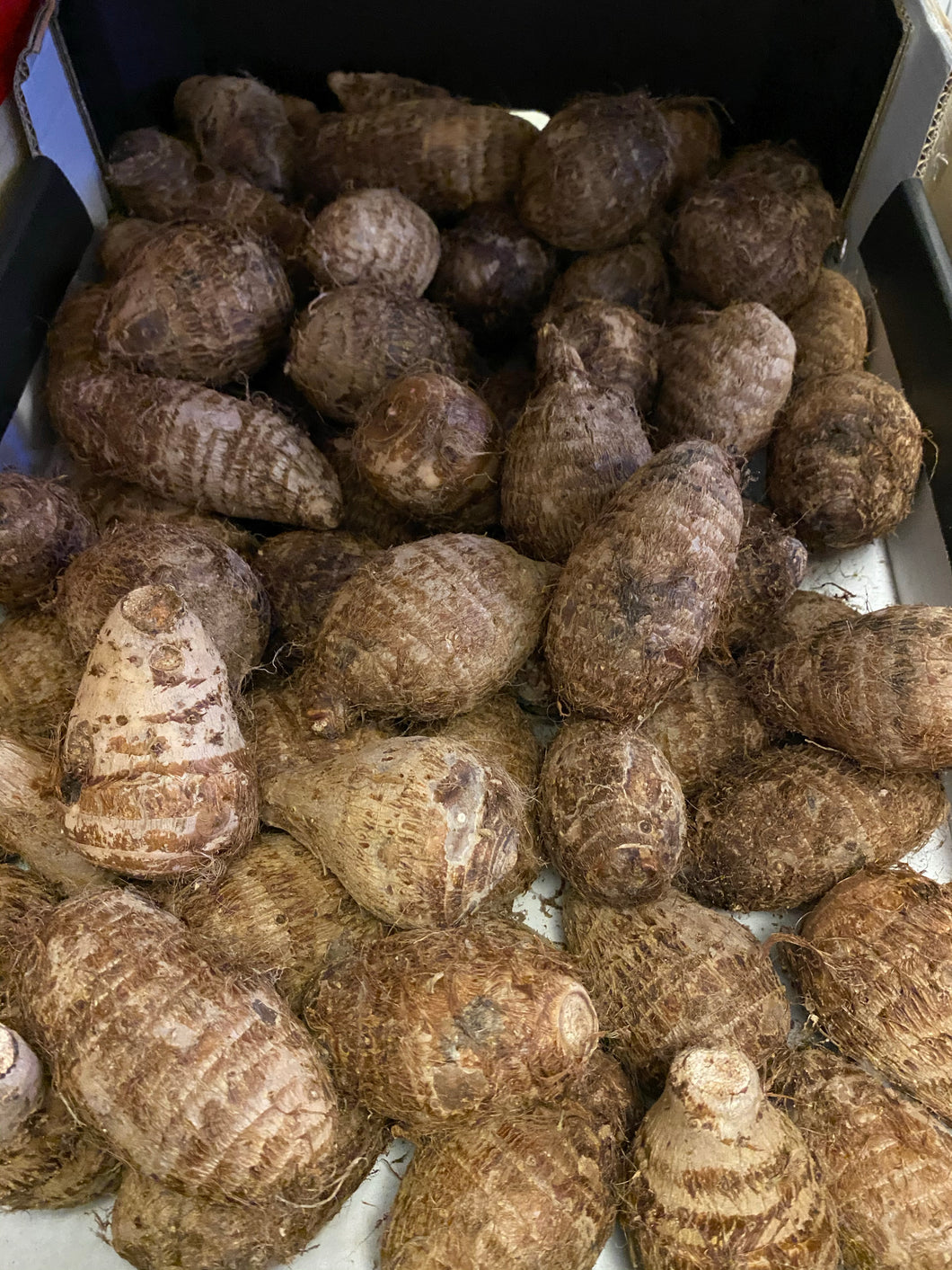 小芋头一个 - Sense Foods