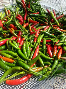 小尖椒50克 - Sense Foods