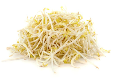 豆芽菜 - Sense Foods