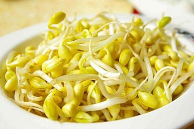 黄豆芽 450g