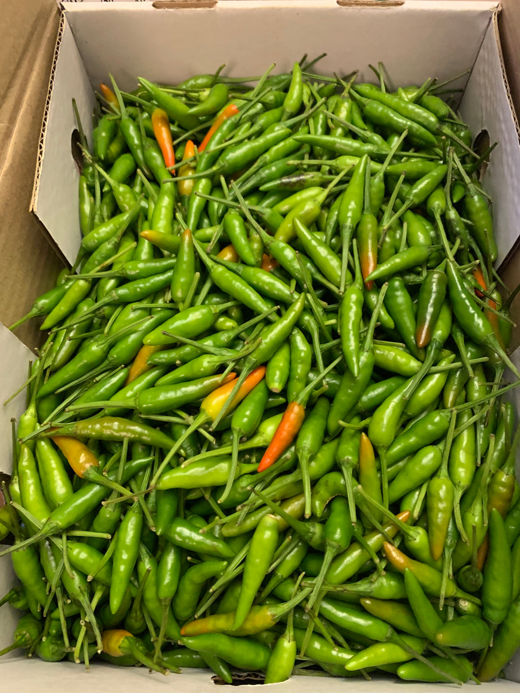 小尖椒 50克 绿色