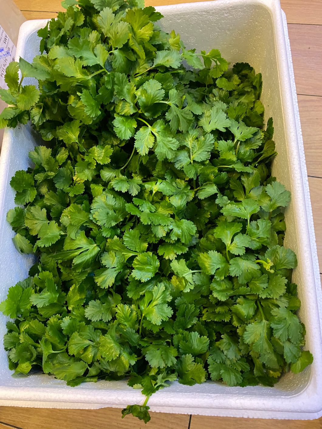 香菜/把 - Sense Foods