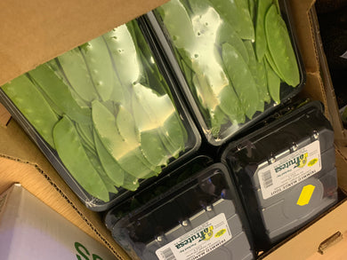 荷兰豆 250g - Sense Foods