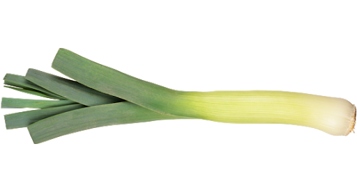 大葱 一根 - Sense Foods